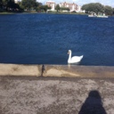 kirsty-delirium avatar