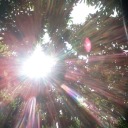 kisah-desember avatar