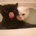 kiss-my-axeeee avatar