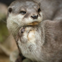 kissawaythetension avatar