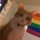 kissedbyaredrose avatar