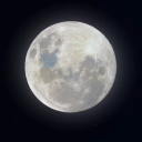 kissesforsato avatar