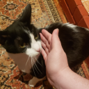 kisskissthegirl-blog avatar