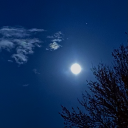 kissmewithyourfists avatar