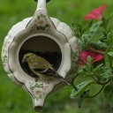 kissmewithyourmouth avatar