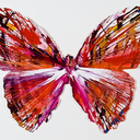 kisss-me-stupid avatar