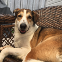 kissthemethanesky avatar