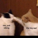 kissyouforever avatar