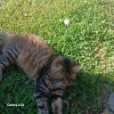 kitaplarlahayalet avatar