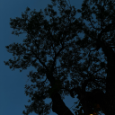 kitaplarveplaklar avatar