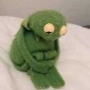 kitapolamayanparagrafsorusu avatar