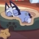 kitkat-corner avatar