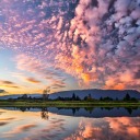 kitkatheich0u avatar