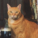 kitkaty731 avatar