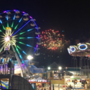 kitten-nuggets-swag avatar