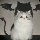 kittenchrxme avatar