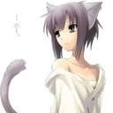 kittenclawsout avatar