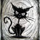 kittencrewtkc avatar