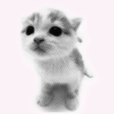 kittenlamp avatar