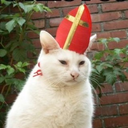 kittenpope avatar