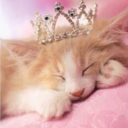 kittensintiaras avatar