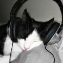 kittensque4ks avatar