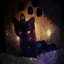 kittenstittens-blog avatar