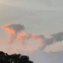 kittenwithbell avatar