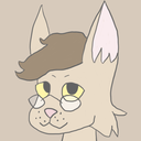 kitteridgehawkpelt avatar