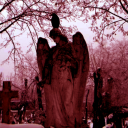 kitti-coining avatar