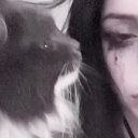 kitttenteeth avatar