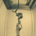 kitttttttycute avatar