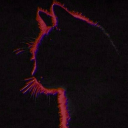 kitty-chewtoy avatar