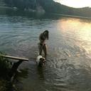 kitty-kat-mao avatar