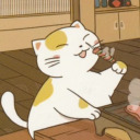 kitty-riceball avatar