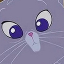 kitty-yzma avatar