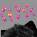 kittyboy-puppy avatar