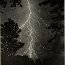 kittycatcuntboy avatar