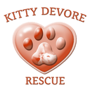 kittydevorerescue avatar