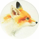 kittydogcatfox avatar