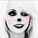 kittyfacegifs-blog avatar