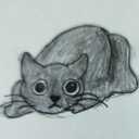 kittygaykitty avatar