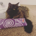 kittyglitter-108 avatar