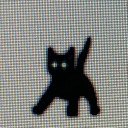 kittykitty000 avatar