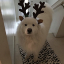 kittykittymwah avatar