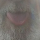 kittylicker1025 avatar