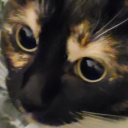 kittymoonworld avatar