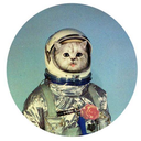 kittypuffpuff avatar