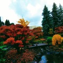 kittypurrmeowcat avatar