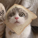 kittysandwich avatar